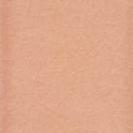 Flesh Glossy