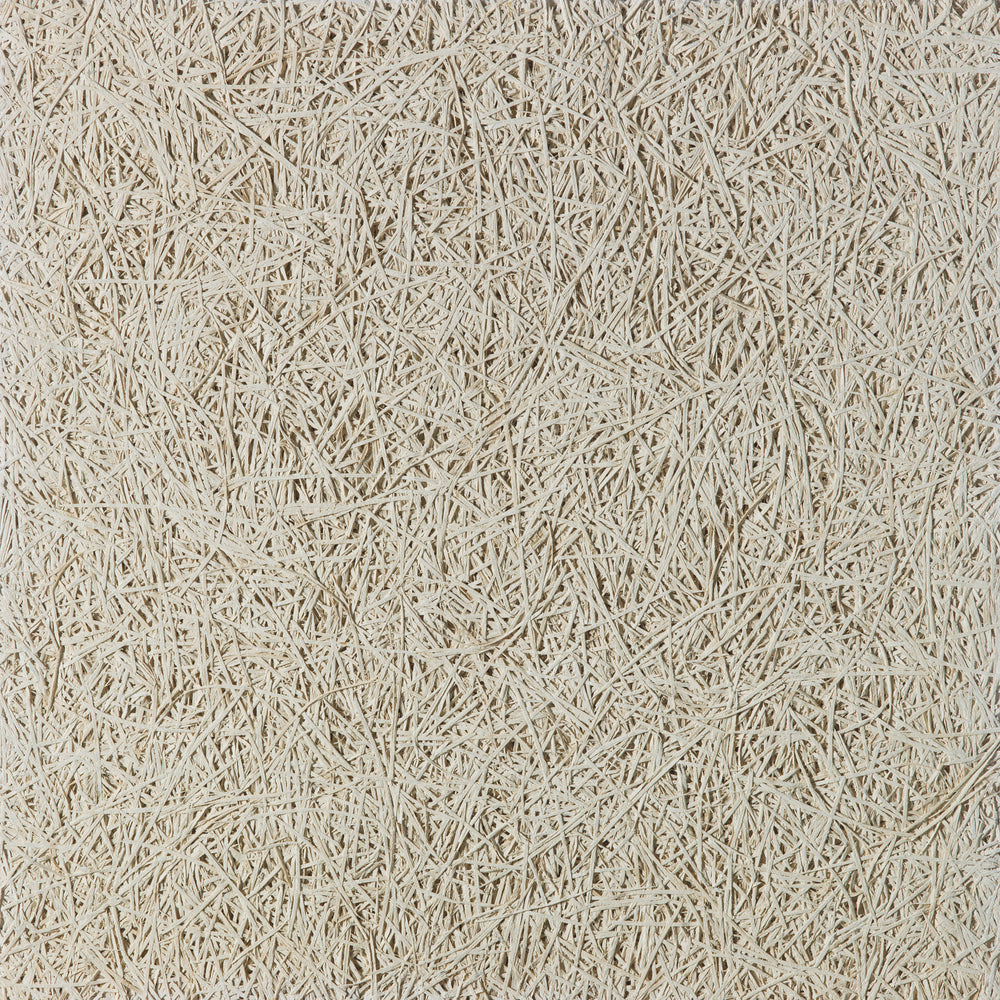 Ab Thin Texture