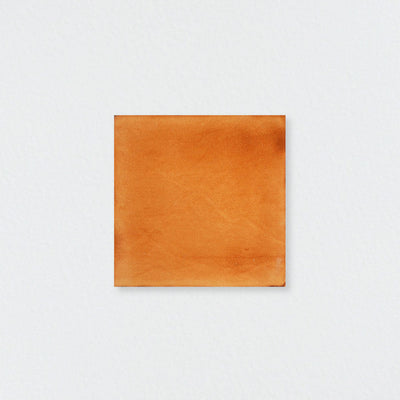 Sk008 Amber