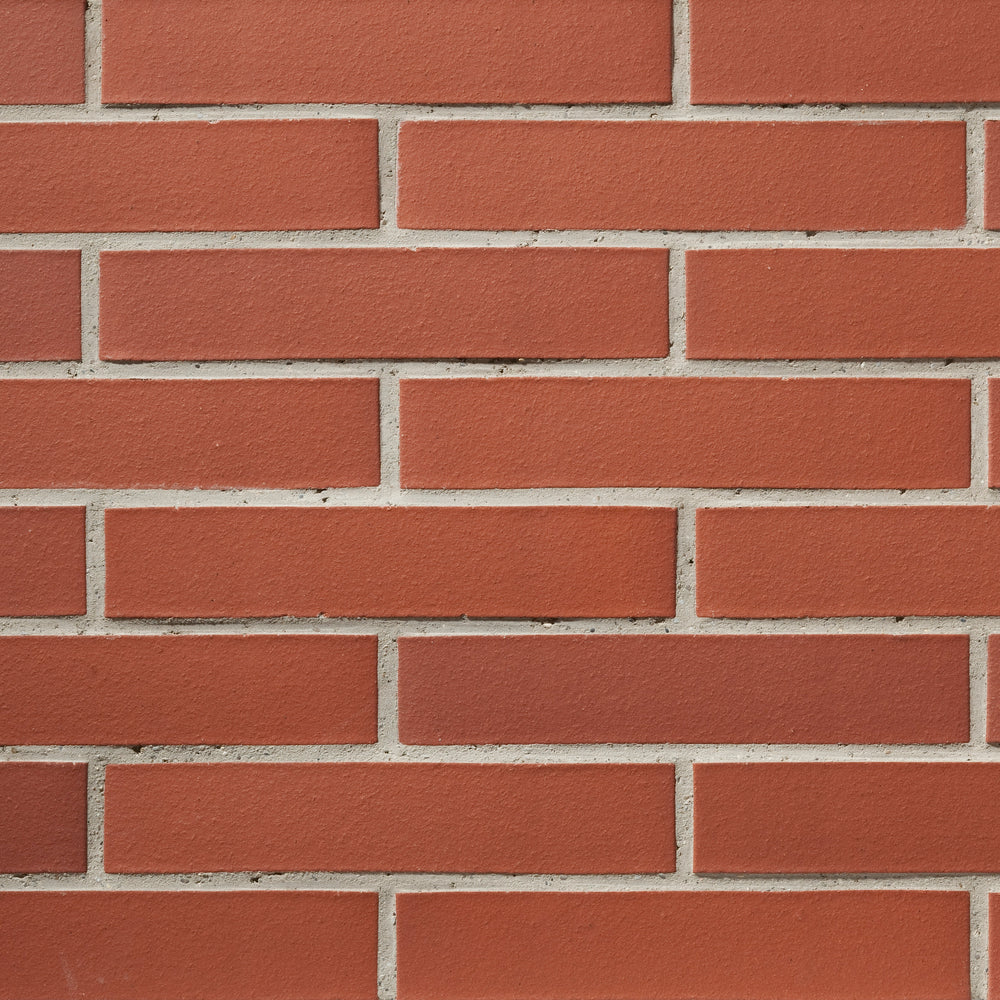 Bologna