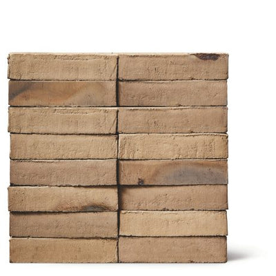 Bison Coal