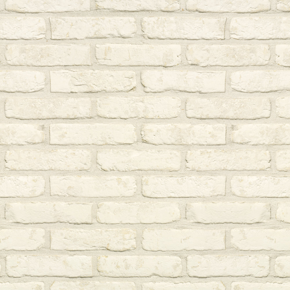Dove White