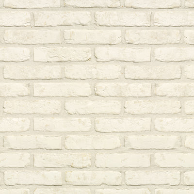 Dove White