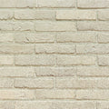 Eco Brick