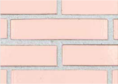 Oyster Pink