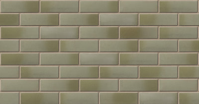 standard - moss green