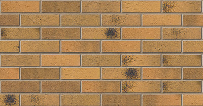 sanded - speckled golden sanded multi