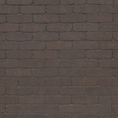 Brown - Aquata Barago Retro