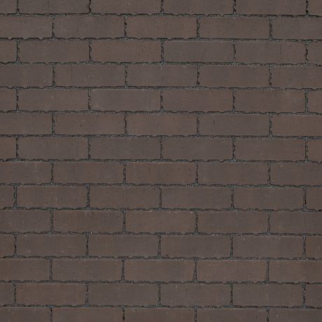 Brown - Aquata Barago