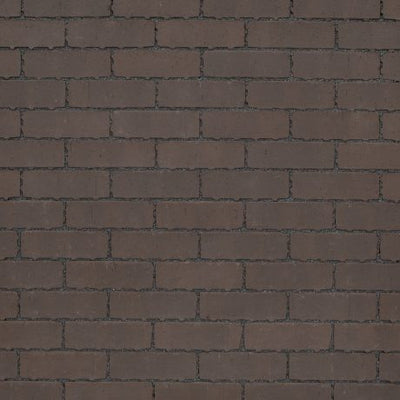 Brown - Aquata Barago