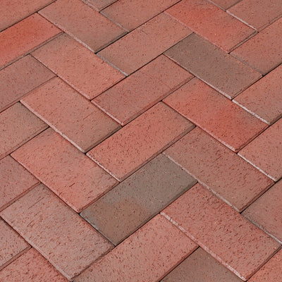 Red Multi - Rotblaubunt