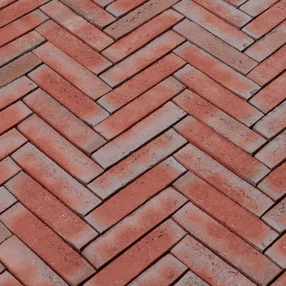 Red-Multi - Borkum