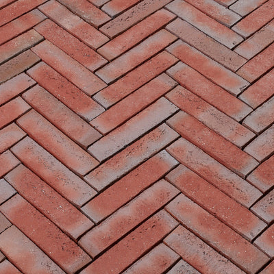 Red-Multi - Borkum