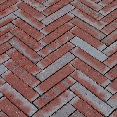 Red-Multi - Juist