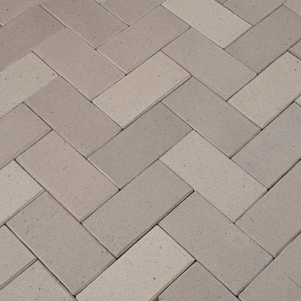 Grey - Lotis
