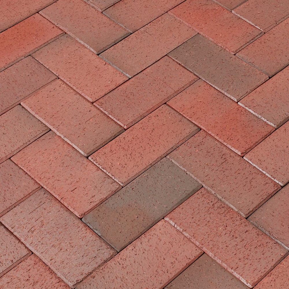 Red-Multi - Rotblaubunt