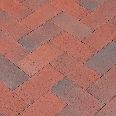 Red-Multi - Bockhorn Bunt