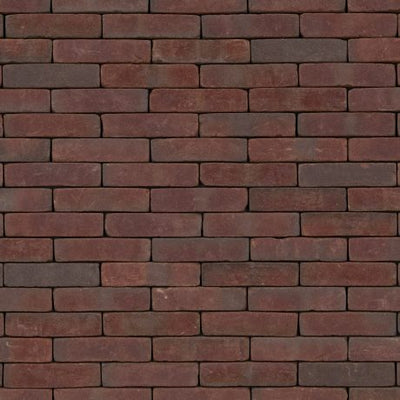 Red-Multi - Rotblaubunt