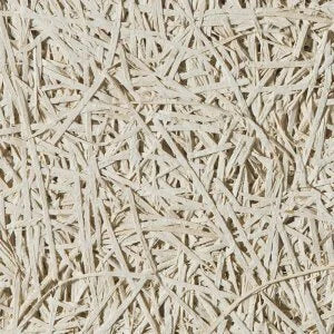 Ab Thin Texture